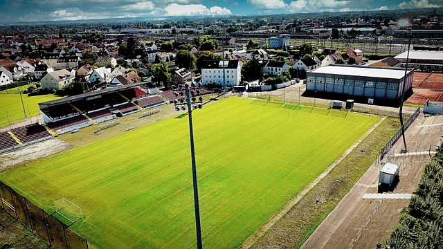 统可以根据 统可以根据