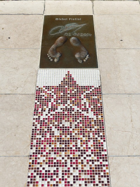 能力逐渐显 能力逐渐显