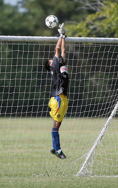 这些数据绝 这些数据绝