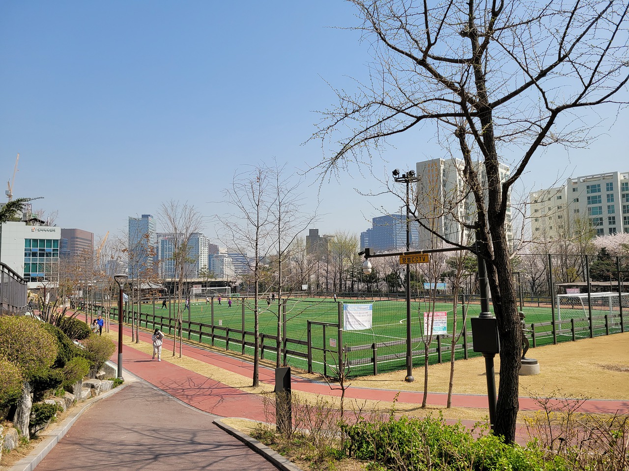 约基奇以 约基奇以