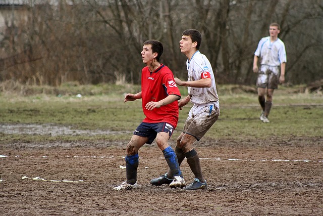 内越来越普 内越来越普