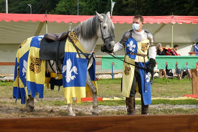 泳项目发展 泳项目发展